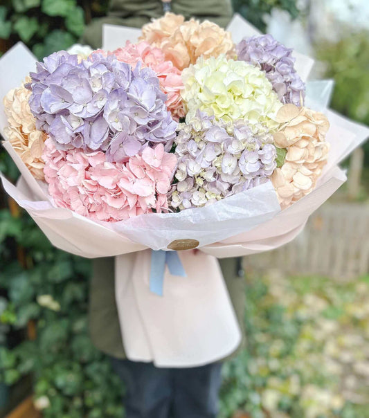 Cum îngrijești hortensiile pentru a le păstra în vază cât mai multe zile? - Floraria Desiree