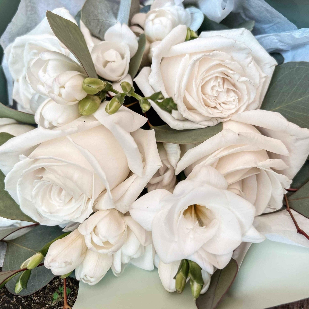 Buchet de flori Serenadă — detaliu al florilor albe