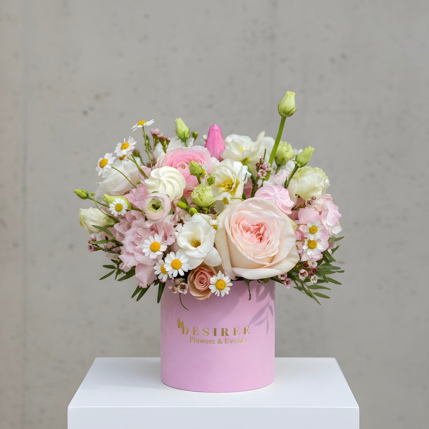 Floraria Desiree Gccyyvu