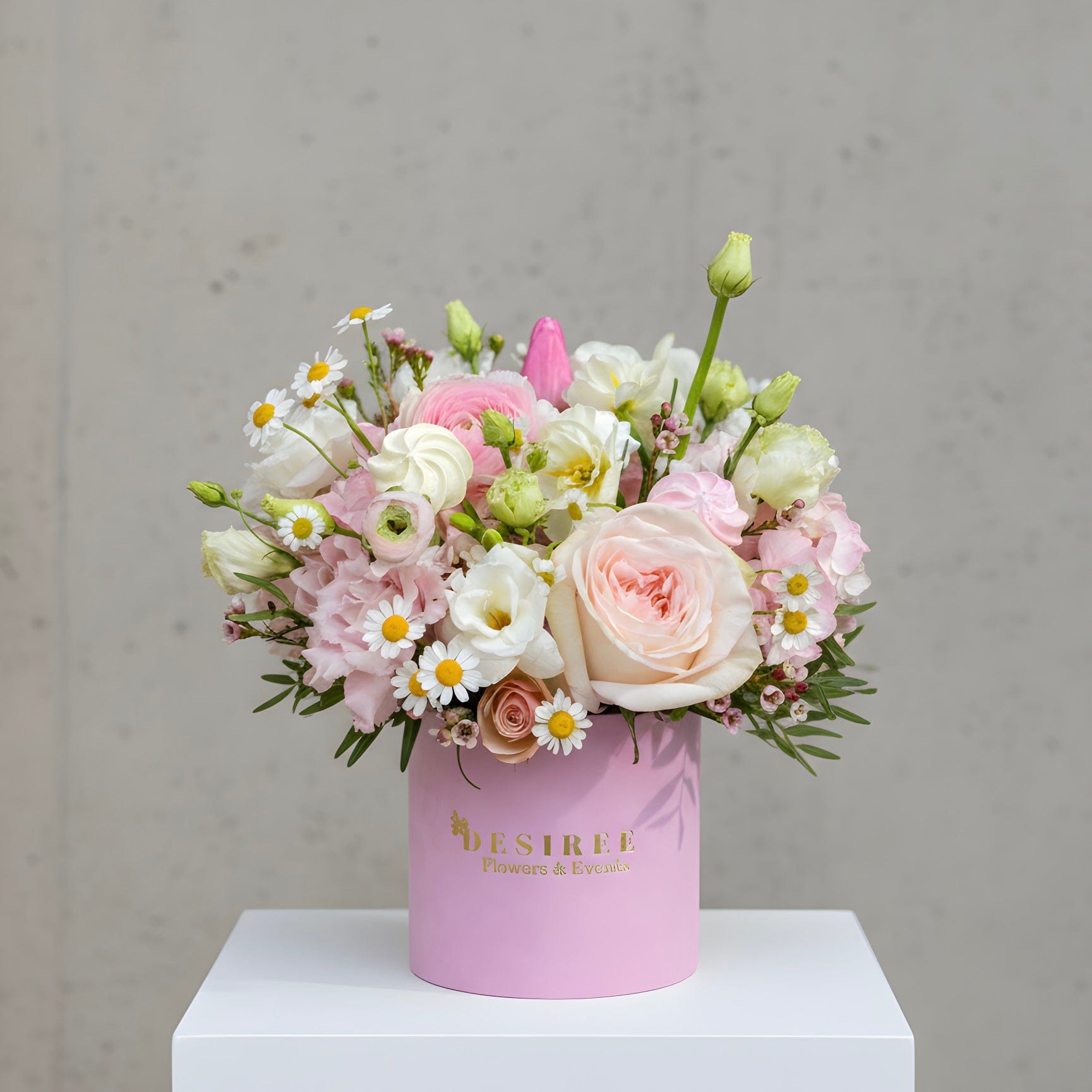 Floraria Desiree Gccyyvu