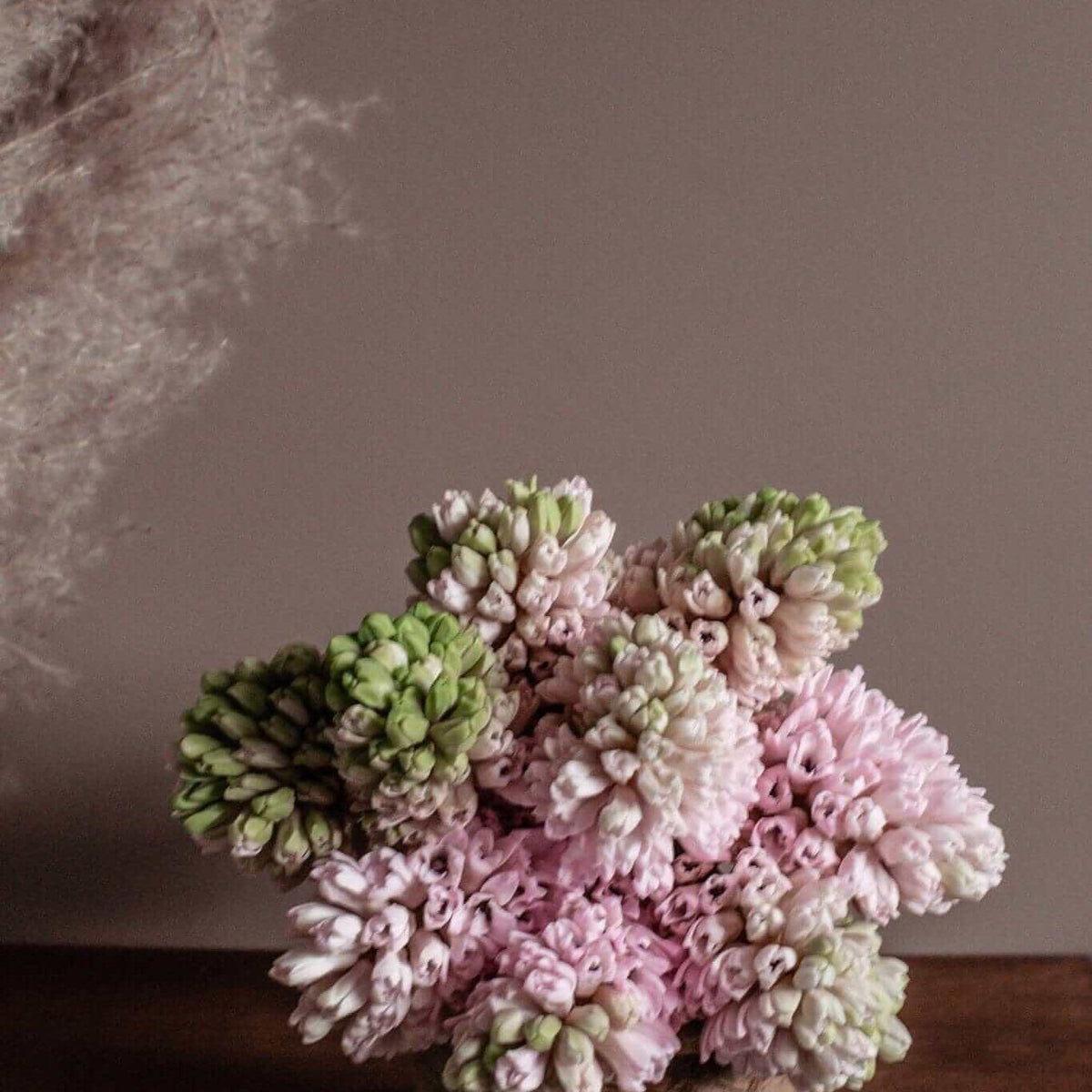 Buchet Zambile Olanda