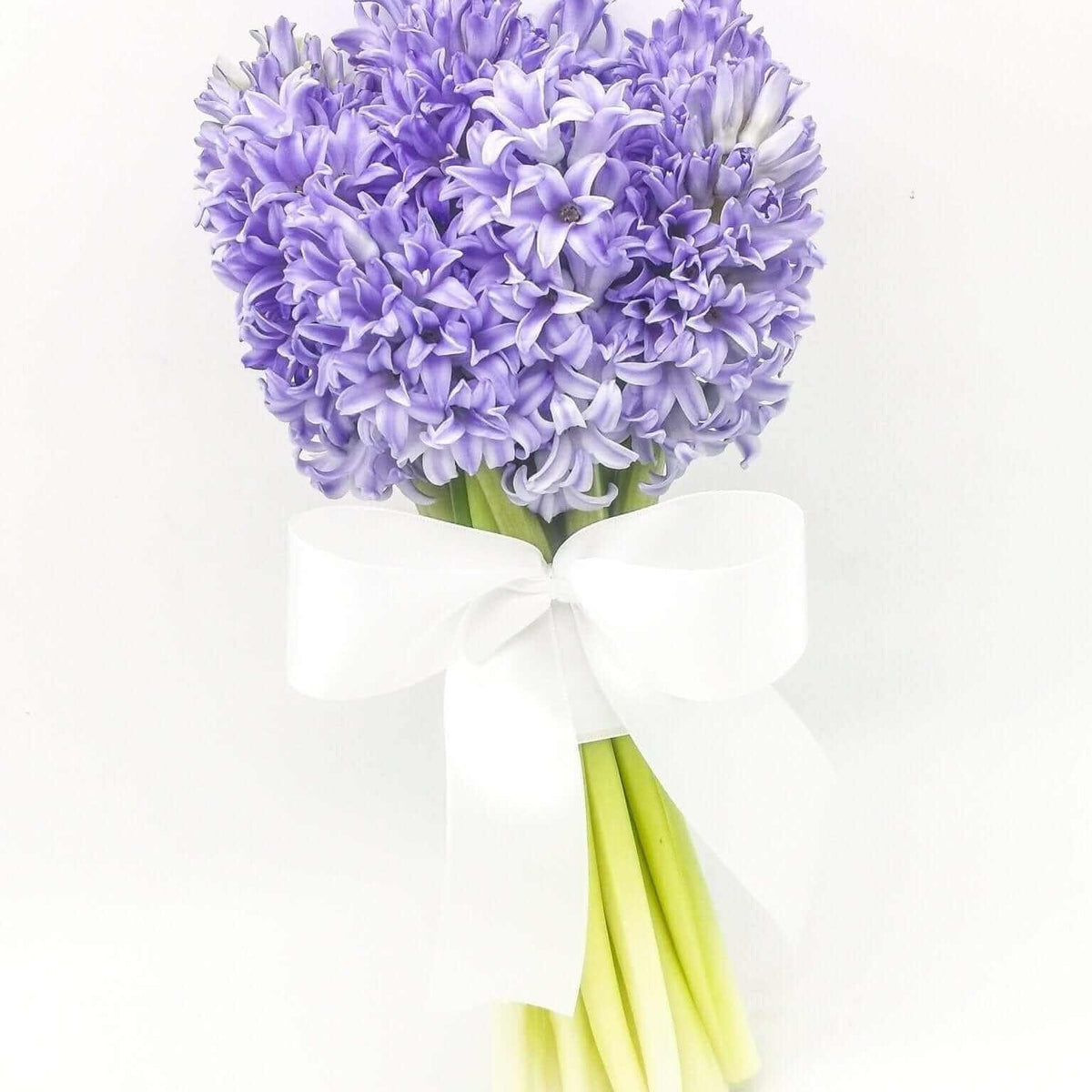 Buchet Zambile Olanda — varianta cu zambile mov