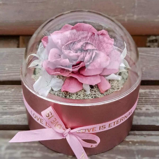 Desiree FlowerShop Begonie criogenata in cupola